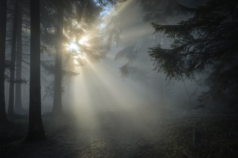 Misty Mornings